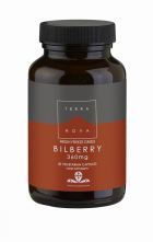 Blåbär 360 mg 50 vegetabiliska kapslar Blåbär 360 mg 50 vegetabiliska kapslar