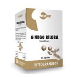 Ginkgo Biloba 45 kapslar