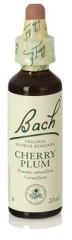 Bach 6 Cherry Plommon 20 ml