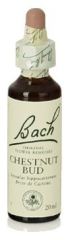 Bach 7 Kastanjeknopp 20 ml