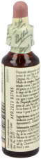 Bach 7 Kastanjeknopp 20 ml