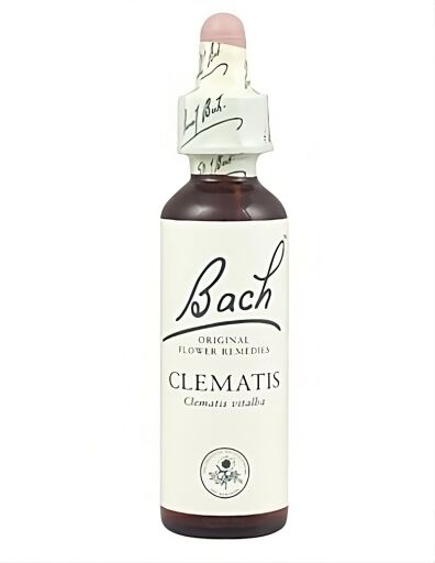 Bach 9 Klematis 20 ml