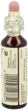 Bach 9 Klematis 20 ml