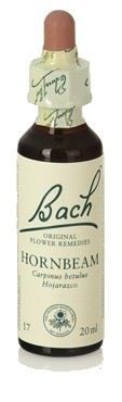 Bach 17 Avenbok 20 ml
