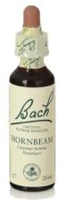 Bach 17 Avenbok 20 ml