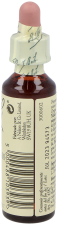 Bach 17 Avenbok 20 ml