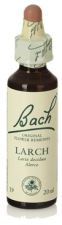 Bach 19 Lärk 20 ml