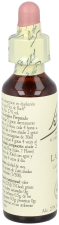 Bach 19 Lärk 20 ml