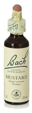 Bach 21 Senap 20 ml