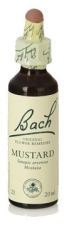 Bach 21 Senap 20 ml