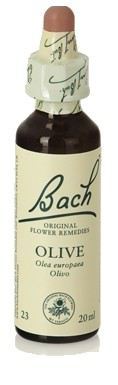 Bach 23 Oliv 20 ml