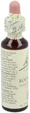 Bach 26 Heliantem eller Burk 20 ml