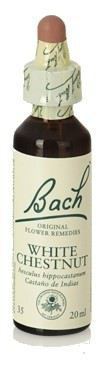 Bach 35 Vit Kastanj 20 ml