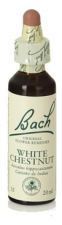 Bach 35 Vit Kastanj 20 ml