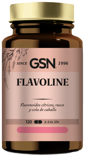 GSN Flavoline 120 tabletter. 555 mg