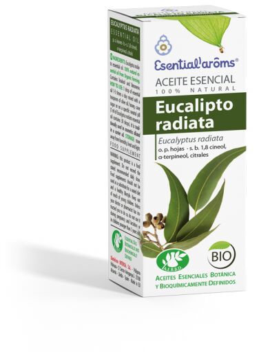 Eucalyptus Radiata eterisk olja 10 ml