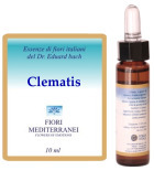 Fm 9 Klematis 10 ml