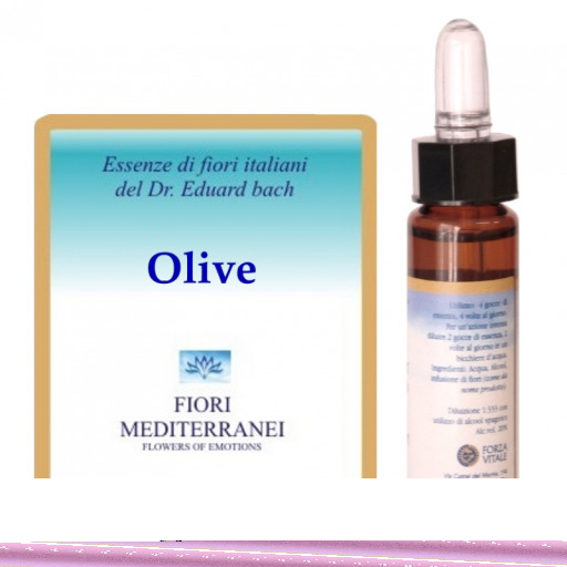 Forza Vitale Fm 23 Oliv 10 ml