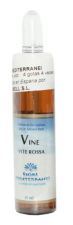 Fm 32 Vine 10 ml