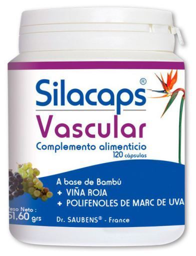 Labo Sante Silice Silacaps Vascular 120 kapslar