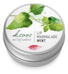 Fresh Mint Lip Balm 15 ml