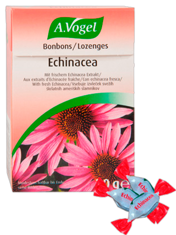 Echinacea Godisfodral 30 gr