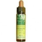 Clematis Plantis N&ordm; 09 10 ml