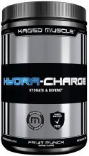 HydraCharge Fruit Punch 282 g HydraCharge Fruit Punch 282 g