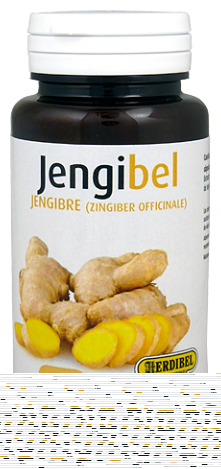 Herdibel Jengibel 100 kapslar