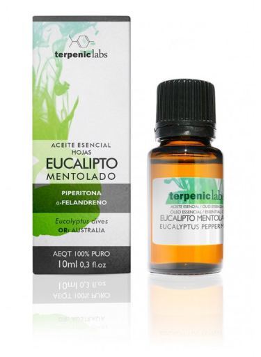 Eucalyptus Mentol 10 ml