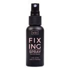 Fixing Spray Fixing Spray