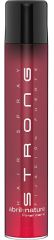 Direkt Laca Spray Stark 500 ml