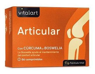 Vitalart Joint 60 tabletter
