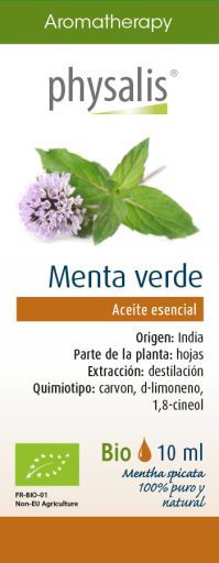 Physalis Green Mint essens 10 ml