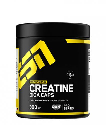 Creatine Giga 300 Capsules