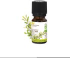 Tea Tree-olja Bio 10 ml