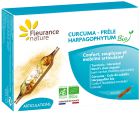 Gurkmeja Harpagofito Horsetail Organic 40 kapslar