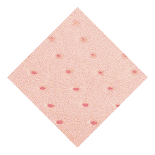 Plastazote Kött Perforerad 1x1 3 mm