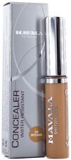 Flytande Concealer 9 ml