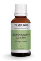 Eucalyptus Radiata eterisk olja