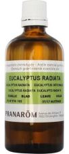 Eucalyptus Radiata eterisk olja