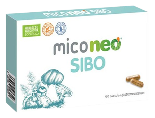Neovital Health MicoNeo SIBO 60 kapslar