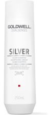 Dualsenses Silver Schampo