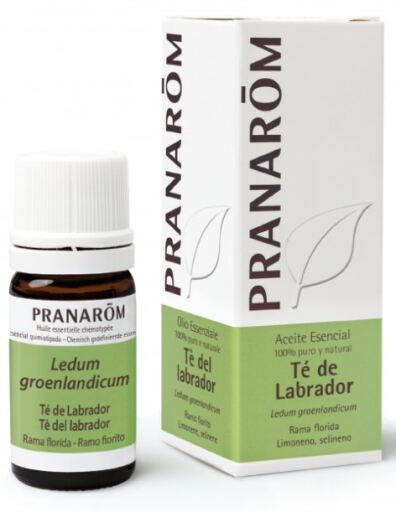 Pranarom Labrador te eterisk olja 5 ml