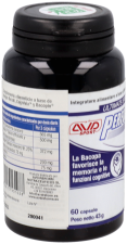 Performance Brain 60 kapslar
