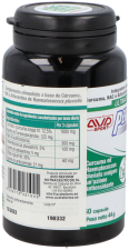 Performance Slow Aging 60 kapslar
