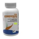 Fepa Cordyceps 60 ekologiska kapslar