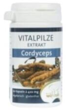 Cordyceps 60 kapslar