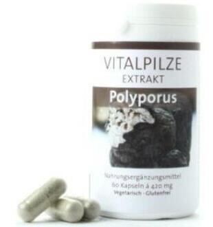 Pilze Wohlrab Polyporus 60 kapslar