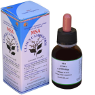 Msa Ulmus Campestris almknoppar 50 ml